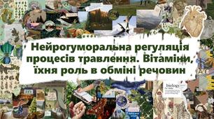 Нейрогуморальна регуляція процесів травлення. Вітаміни, їхня роль в обміні речовин