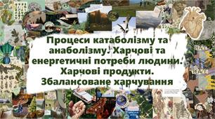 Процеси катаболізму та анаболізму. Харчові та енергетичні потреби людини. Харчові продукти. Збалансоване харчування