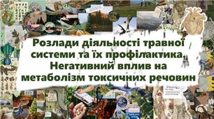 Розлади діяльності травної системи та їх профілактика. Негативний вплив на метаболізм токсичних речовин
