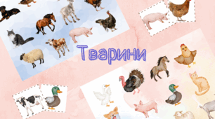 Картки з тваринами для найменших