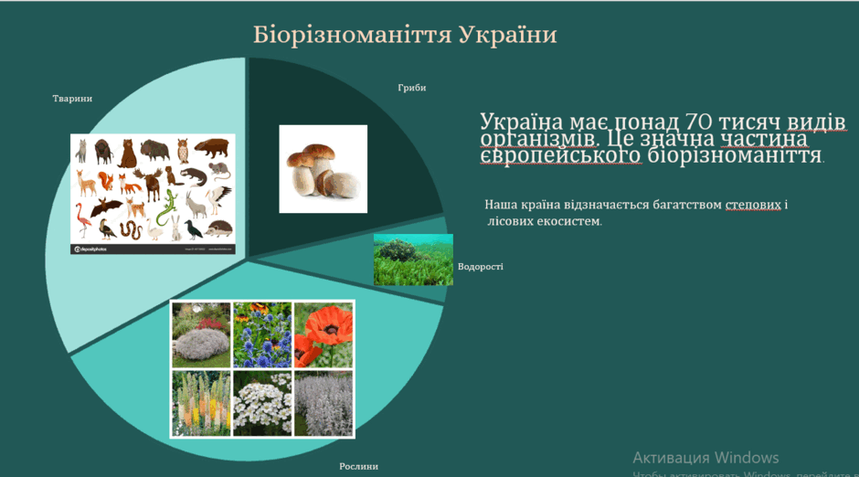 08018tfg-ea36-940x522.png