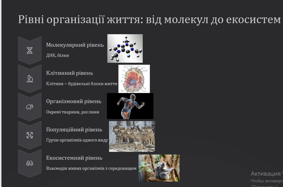 08018tgt-e45c-940x620.png
