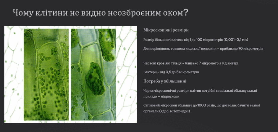 08018tgx-f39f-940x448.png