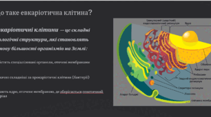 Будова клітини евкаріотів: органели та їх функції