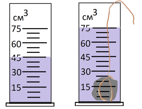 08018txr-32a5-488x376.png