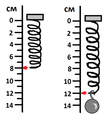 08018txx-f8d4-452x493.png