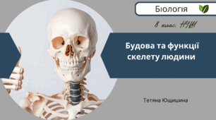 Будова та функції скелету людини. 8 клас. НУШ