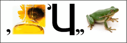08018xbw-bdb2-556x191.png
