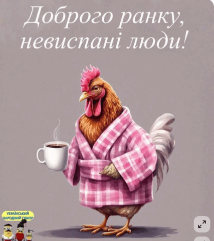 08018xx0-e4f8-427x482.png