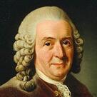 08018yfv-0e97-136x136.jpg