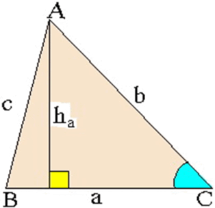 08018yy9-9522-314x304.png