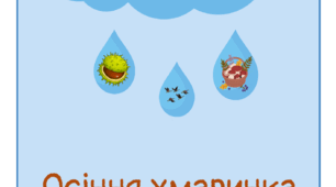 Ознаки осені «Осіння хмаринка»