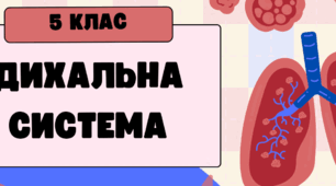 Дихальна система (5 клас)