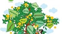 Календарно-тематичне планування «Підприємництво і фінансова грамотність 8 клас», 0.5 год на 2025-2026 н.р. автори Пластун О. Л.  Панченко С. Ю.  Оверко В. П.