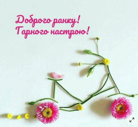 0801965q-d923-471x435.png