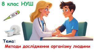 Презентація з біології 8 клас НУШ: Методи дослідження організму людини.