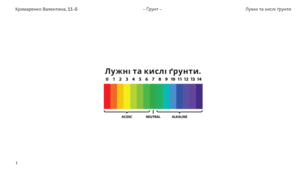 Лужні та кислі ґрунти