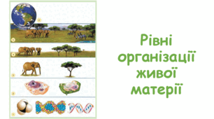 Рівні організації живої матерії 9 клас НУШ