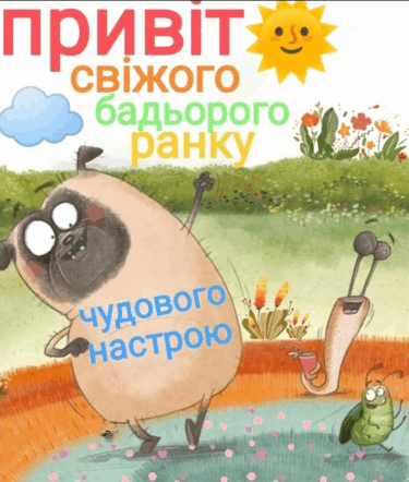 08019g75-2869-375x442.png