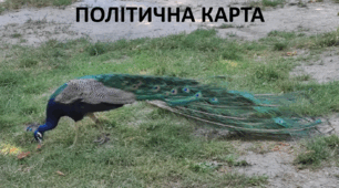 Презентація до уроку: "ПОЛІТИЧНА КАРТА"