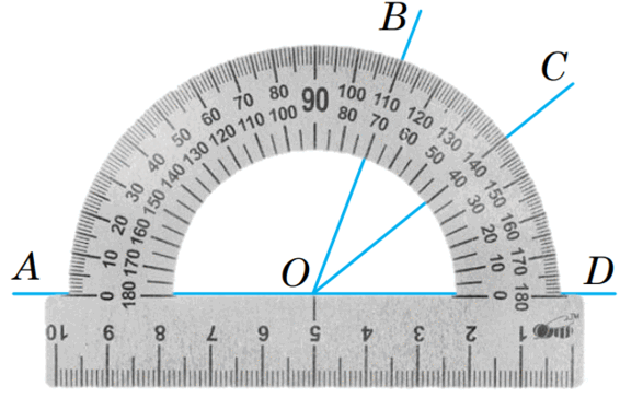 08019i5j-1b3d-442x284.png
