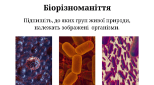 Біорізноманіття. Картки завдань