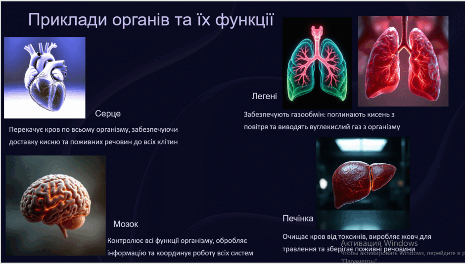 08019l7u-d5f5-940x535.png