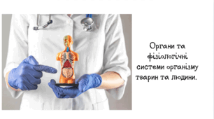 Тема 1. ОРГАНІЗМ ЛЮДИНИ ТА ТВАРИН ЯК СКЛАДНА БАГАТОРІВНЕВА БІОЛОГІЧНА СИСТЕМА. Клітини. Тканини. Органи.