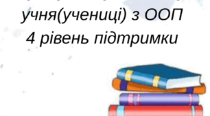 Індивідуальна програма розвитку 4 рівень підтримки