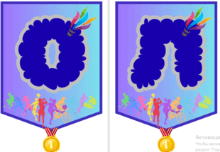 08019q57-c3c0-310x215.png
