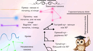 Види ліній та кутів