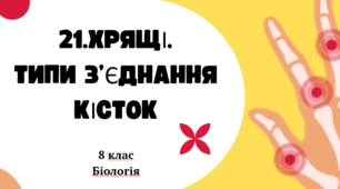 Презентація  до уроку  «§21. Хрящі. Типи з’єднання кісток»   8клас  НУШ
