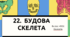 Презентація  до уроку  «§22. Будова скелета»     8 клас НУШ