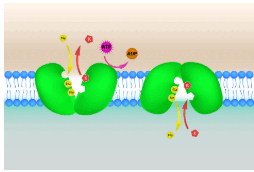 08019uj7-f0f2-254x172.png