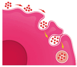 08019uj8-d75c-257x222.png