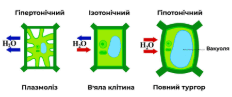 08019ujb-bc42-232x97.png