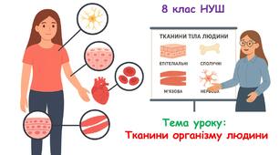 Презентація з біології 8 клас НУШ: Тканини організму людини