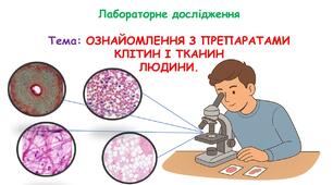 Презентація з біології 8 клас НУШ: Лабораторне дослідження. Тема: ОЗНАЙОМЛЕННЯ З ПРЕПАРАТАМИ КЛІТИН І ТКАНИН ЛЮДИНИ.