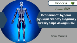Особливості будови і функцій скелету людини у зв’язку з прямоходіння. 8 клас. НУШ