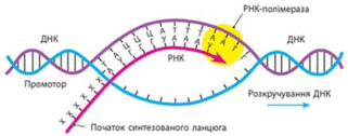 0801a6jf-064d-321x126.png