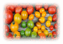 0801a6m0-0f49-213x149.png
