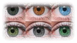 0801a6m2-0c93-253x141.png