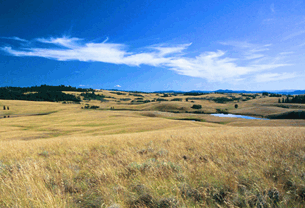 0801aa8i-ea4a-305x208.png