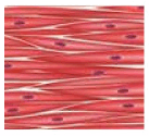 0801aaxu-cd7c-146x133.png