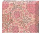 0801ab2g-b535-134x117.png