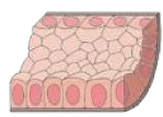 0801ab2p-2ec0-149x107.png