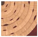 0801aba9-7cfc-131x127.png