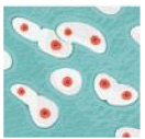 0801abai-a07e-132x127.png