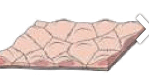 0801abll-e1e6-149x78.png