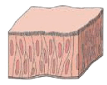 0801abln-9ad9-155x124.png